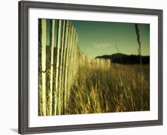 End Summer-Irene Suchocki-Framed Photographic Print