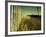 End Summer-Irene Suchocki-Framed Photographic Print