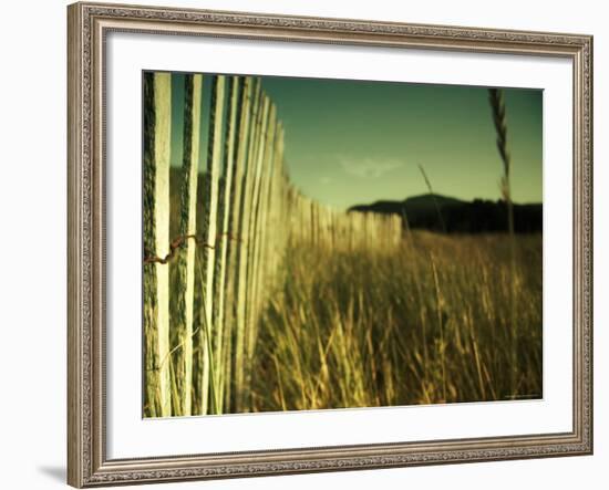 End Summer-Irene Suchocki-Framed Photographic Print