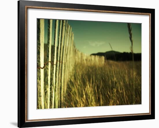 End Summer-Irene Suchocki-Framed Photographic Print