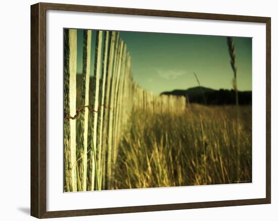 End Summer-Irene Suchocki-Framed Photographic Print