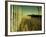 End Summer-Irene Suchocki-Framed Photographic Print