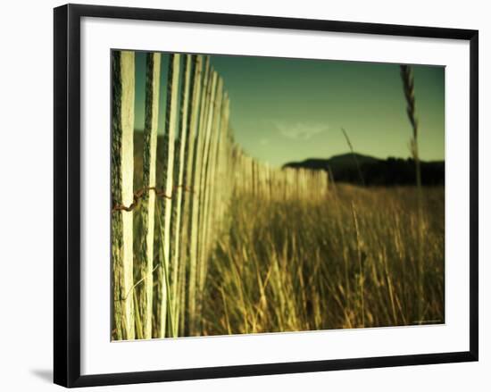 End Summer-Irene Suchocki-Framed Photographic Print