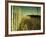 End Summer-Irene Suchocki-Framed Photographic Print