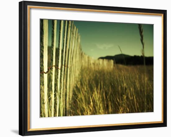 End Summer-Irene Suchocki-Framed Photographic Print