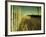 End Summer-Irene Suchocki-Framed Photographic Print