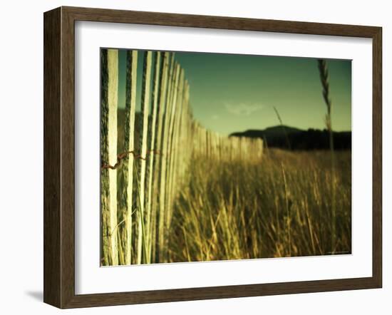 End Summer-Irene Suchocki-Framed Photographic Print