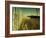 End Summer-Irene Suchocki-Framed Photographic Print