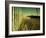 End Summer-Irene Suchocki-Framed Photographic Print