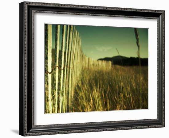 End Summer-Irene Suchocki-Framed Photographic Print