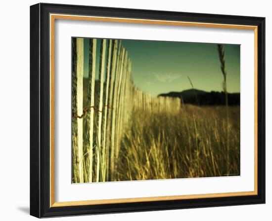 End Summer-Irene Suchocki-Framed Photographic Print