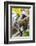 Endemic Red Colobus monkey (Piliocolobus), Jozani Forest, Jozani Chwaka Bay National Park, Zanzibar-Christian Kober-Framed Photographic Print