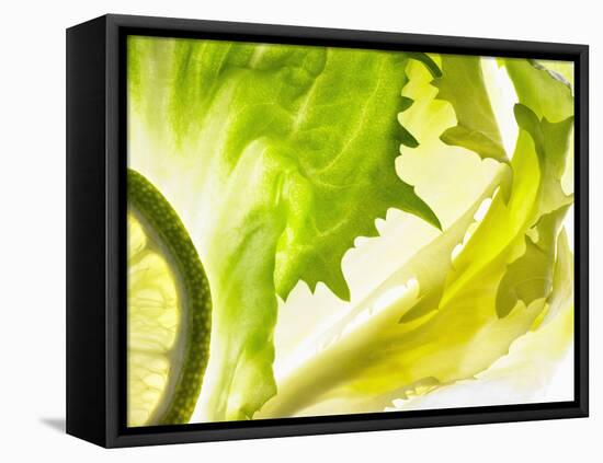 Endive with a Slice of Lime-Peter Rees-Framed Premier Image Canvas