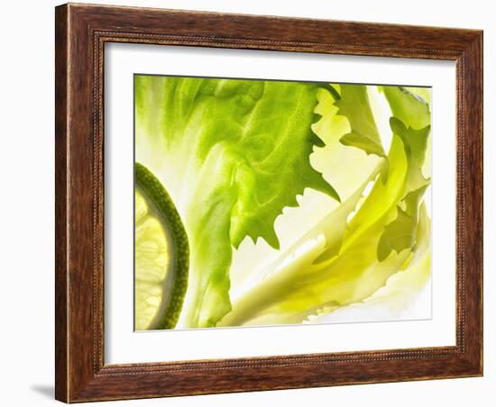 Endive with a Slice of Lime-Peter Rees-Framed Photographic Print