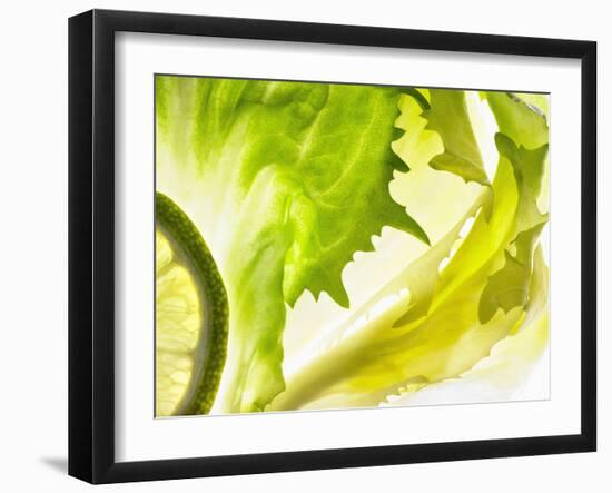 Endive with a Slice of Lime-Peter Rees-Framed Photographic Print