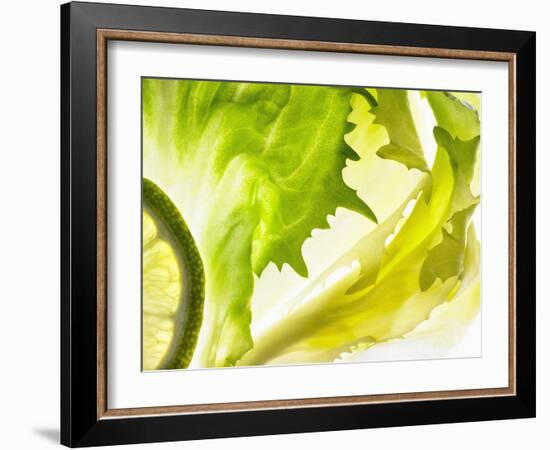 Endive with a Slice of Lime-Peter Rees-Framed Photographic Print