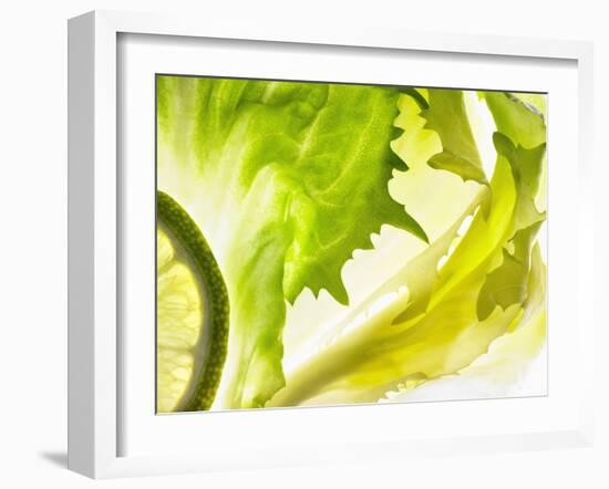 Endive with a Slice of Lime-Peter Rees-Framed Photographic Print