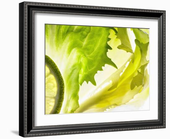 Endive with a Slice of Lime-Peter Rees-Framed Photographic Print