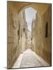 Endless Avenue-Assaf Frank-Mounted Giclee Print