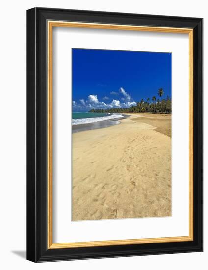 Endless Caribbean Beach-George Oze-Framed Photographic Print