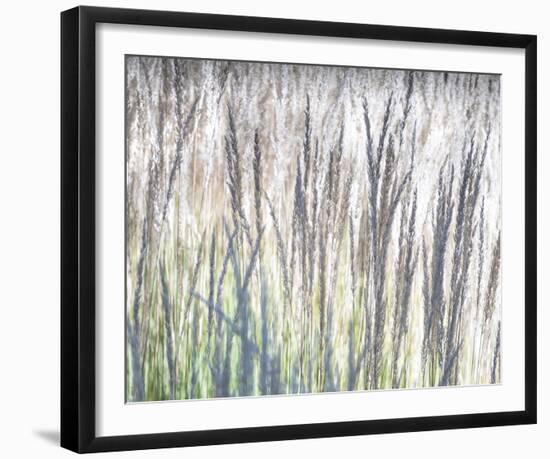 Endless Fields-Chris Dunker-Framed Giclee Print