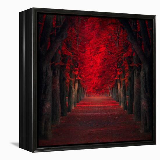 Endless Passion-Ildiko Neer-Framed Premier Image Canvas