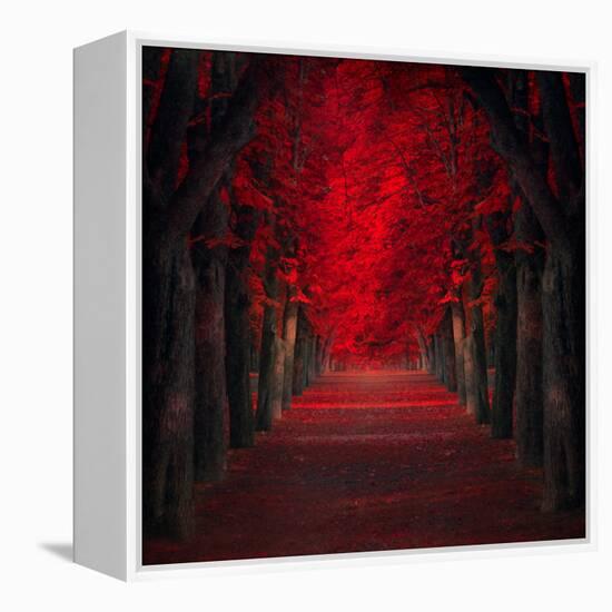 Endless Passion-Ildiko Neer-Framed Premier Image Canvas