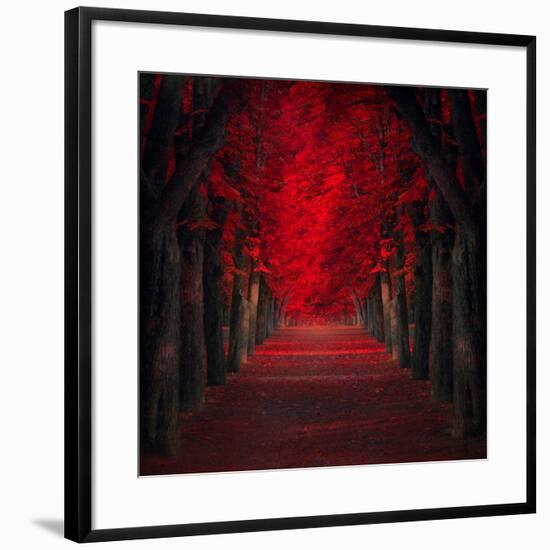 Endless Passion-Ildiko Neer-Framed Photographic Print