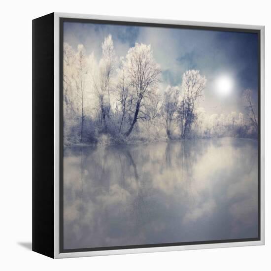 Endless-Philippe Sainte-Laudy-Framed Premier Image Canvas