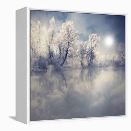 Endless-Philippe Sainte-Laudy-Framed Premier Image Canvas