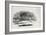 Endpiece, Late 18th or Early 19th Century-Thomas Bewick-Framed Giclee Print