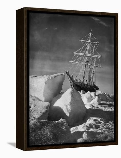 Endurance Trapped in Ice-Frank Hurley-Framed Premier Image Canvas