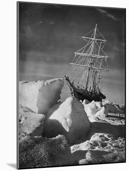 Endurance Trapped in Ice-Frank Hurley-Mounted Photographic Print