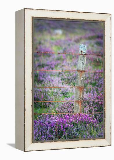 Endurance-Philippe Sainte-Laudy-Framed Premier Image Canvas