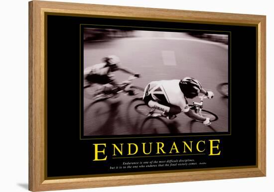 Endurance-null-Framed Stretched Canvas