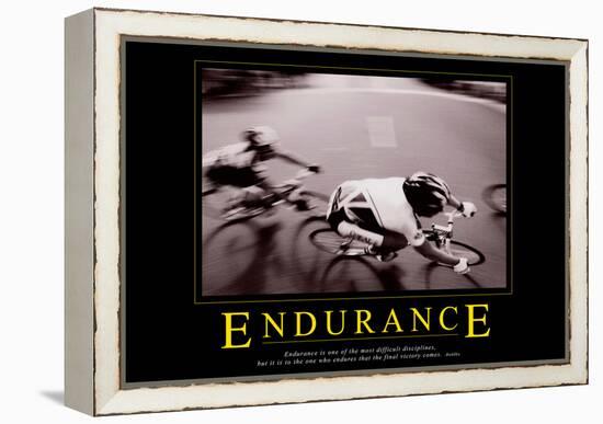 Endurance-null-Framed Stretched Canvas