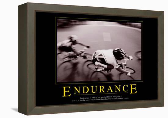 Endurance-null-Framed Stretched Canvas