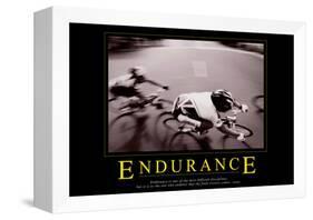 Endurance-null-Framed Stretched Canvas