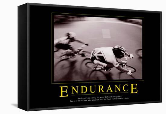Endurance-null-Framed Stretched Canvas