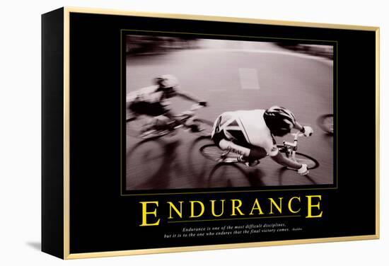 Endurance-null-Framed Stretched Canvas