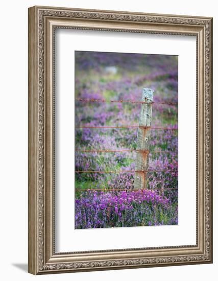 Endurance-Philippe Sainte-Laudy-Framed Photographic Print