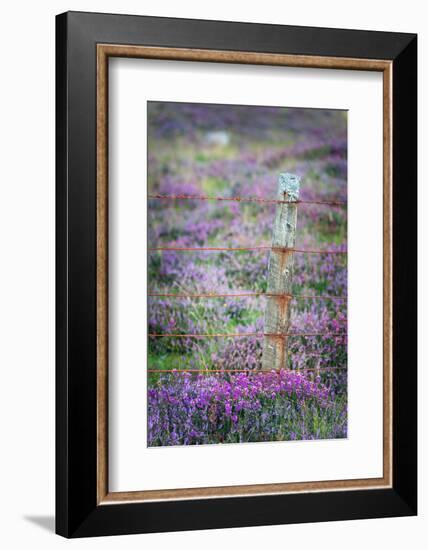 Endurance-Philippe Sainte-Laudy-Framed Photographic Print