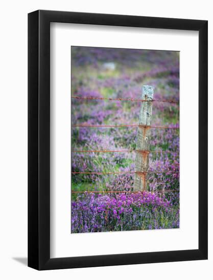 Endurance-Philippe Sainte-Laudy-Framed Photographic Print