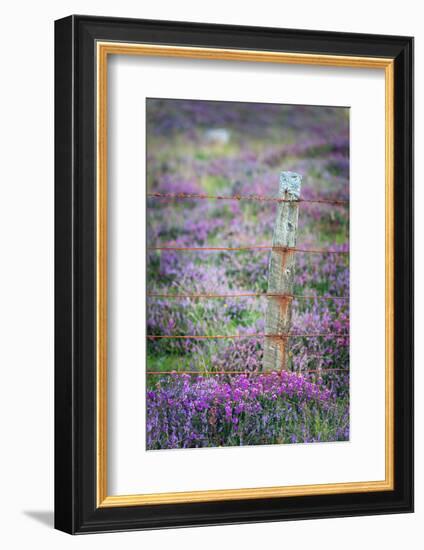 Endurance-Philippe Sainte-Laudy-Framed Photographic Print