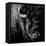 Enduring #3-Julie Chapman-Framed Stretched Canvas