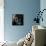 Enduring #3-Julie Chapman-Premium Giclee Print displayed on a wall