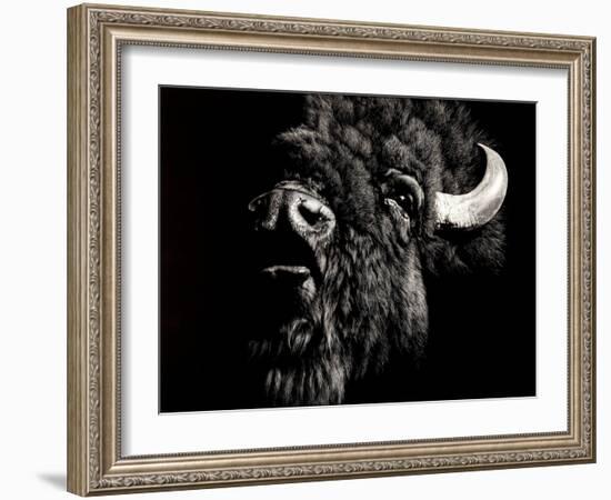 Enduring #4-Julie Chapman-Framed Art Print