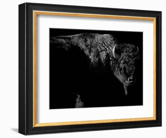 Enduring-Julie Chapman-Framed Premium Giclee Print