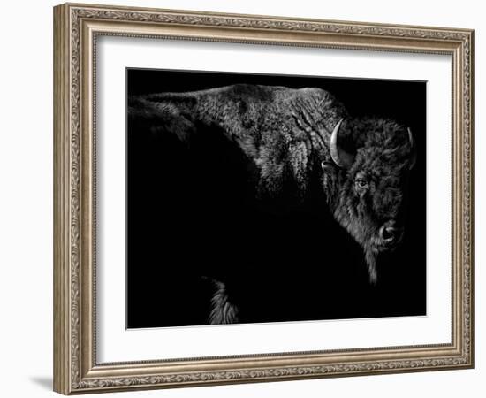 Enduring-Julie Chapman-Framed Art Print