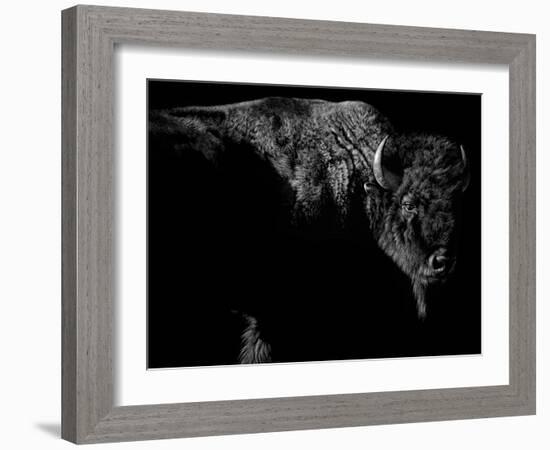 Enduring-Julie Chapman-Framed Art Print